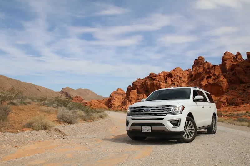 Luxury SUV and MPV Fleet
